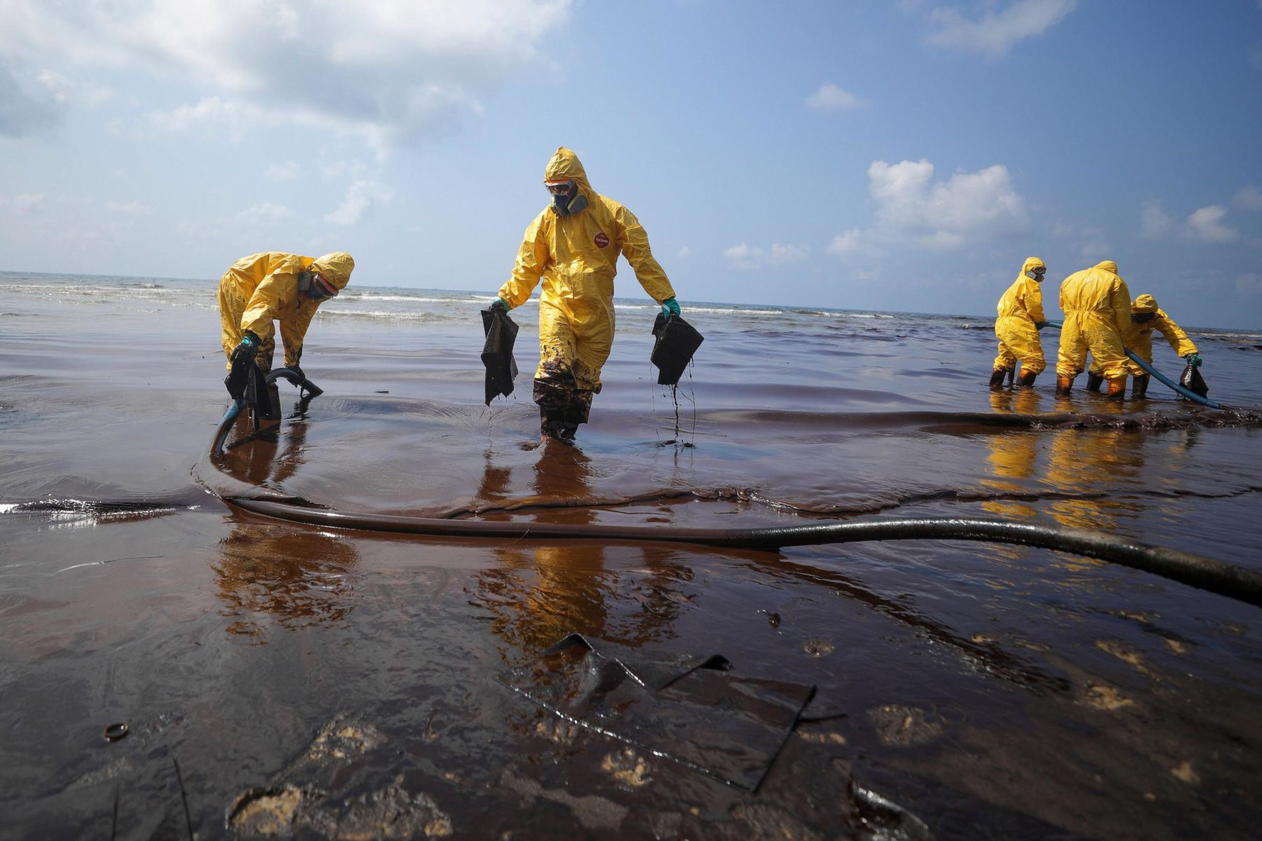 United for the Ocean: Why Collaboration Drives Smarter Marine Recovery
