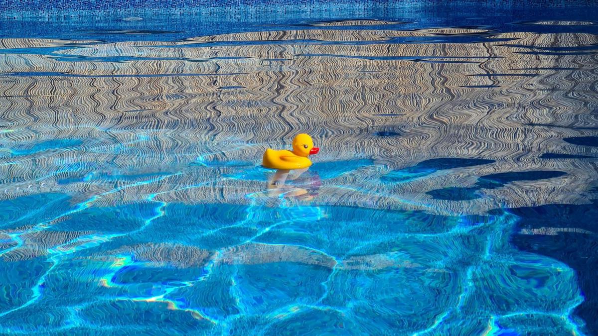 Rubber Ducks vs. the Pacific: The Accidental Science Experiment That Wouldn’t&nbsp;Die