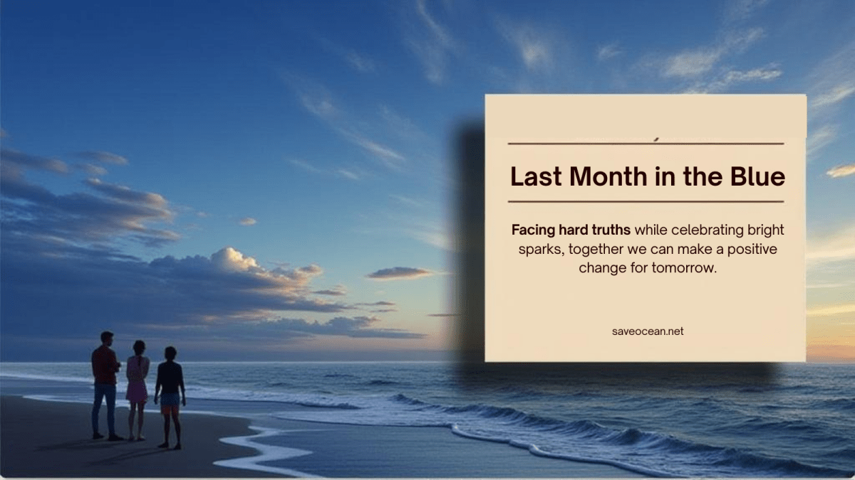 Ocean Conservation Update: Summer of 2025&nbsp;Highlights