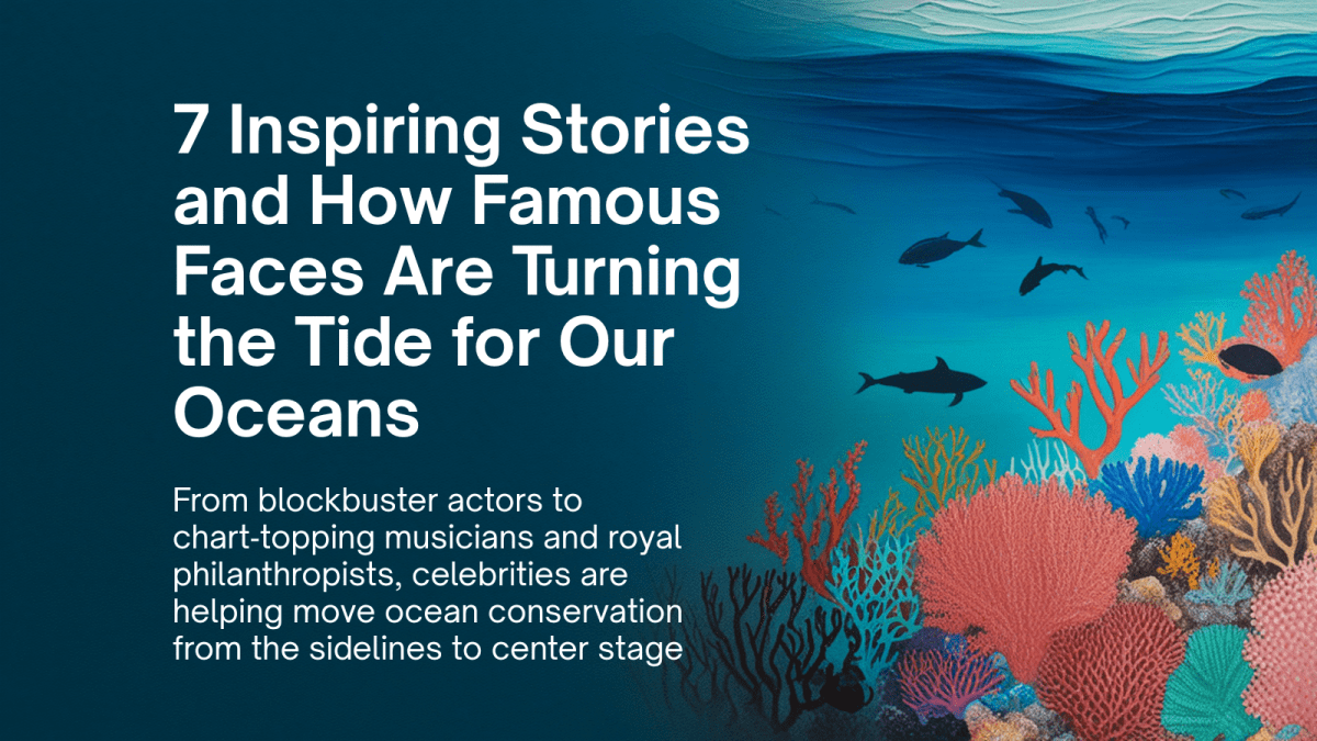 Star Power, Sea Change: 7 Inspiring Stories and How Famous Faces Are Turning the Tide for Our&nbsp;Oceans