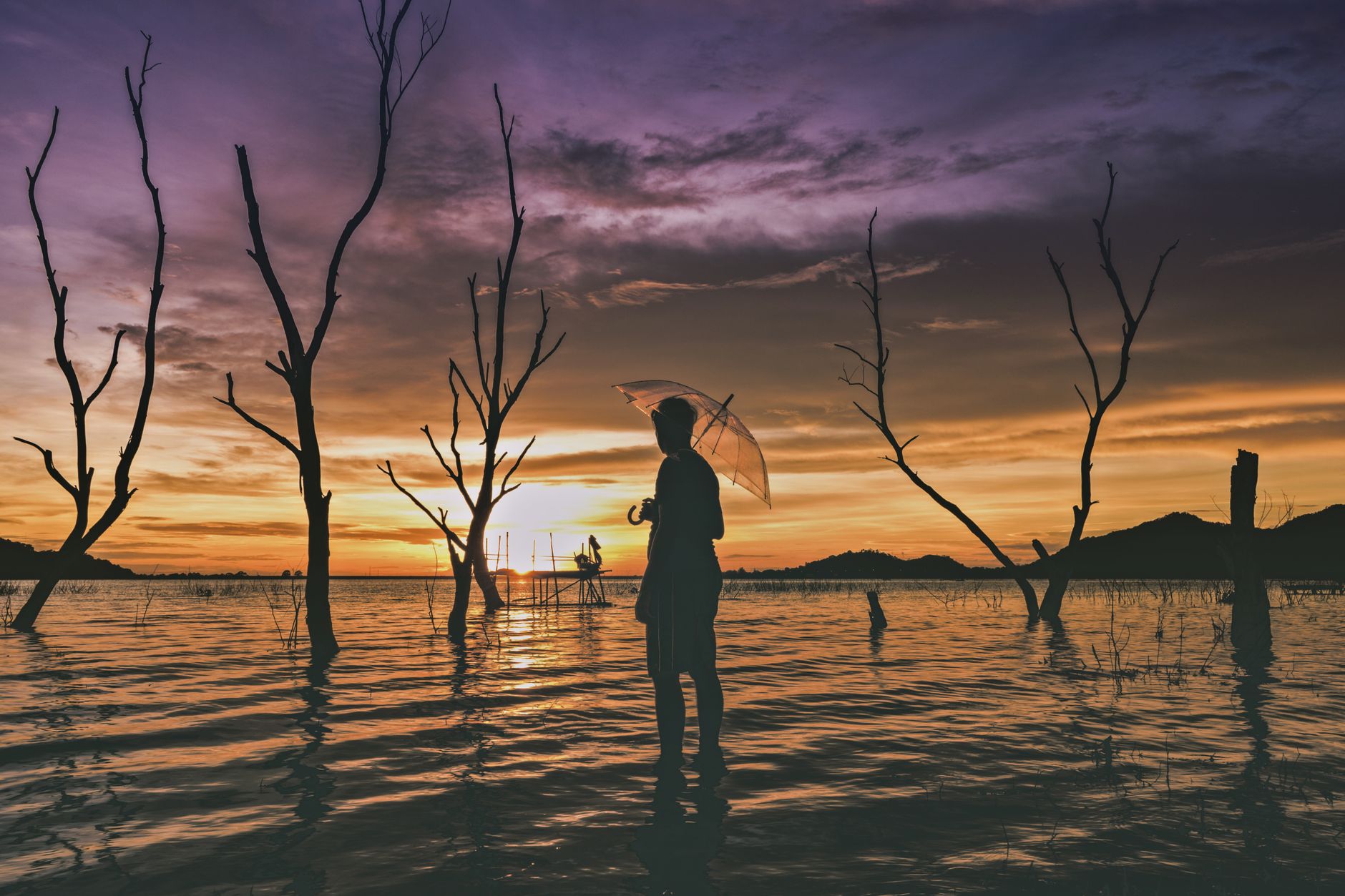 El Niño Tightens Its Grip: How a Strengthening Pacific Climate Pattern Is Reshaping Weather Across the Globe