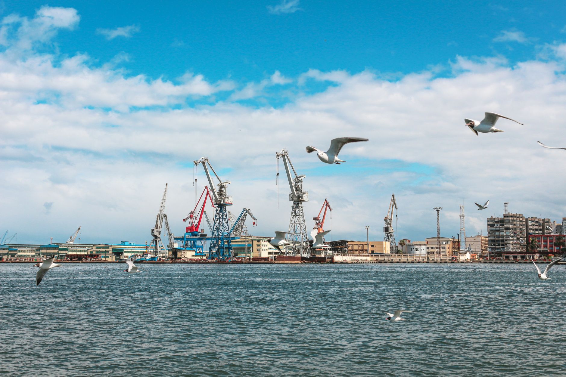 The Ocean Is the Most Consequential Ecosystem Service Provider on Earth